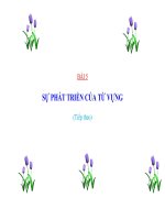 Bài 5  sự phát triển của từ vựng (tiếp theo) 