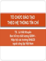 Bài Giảng Tổ Chức Đào Tạo Theo Hệ Thống Tín Chỉ