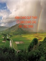 bài 9 lịch sự tế nhị 