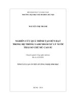 Nghiên cứu quá trình tạo bùn hạt trong hệ thống UASB nhằm xử lý nước thải sơ chế mủ cao su (TT) 