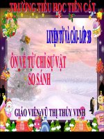 Ôn về từ chỉ sự vật  so sánh LTVC lớp 3 số 1 