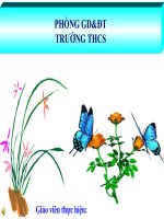 Bài 11  phát sinh giao tử và thụ tinh 