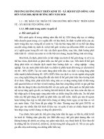 PHƯƠNG HƯỚNG PHÁT TRIỂN KINH TẾ - XÃ HỘI HUYỆN ĐÔNG ANH ĐẾN NĂM 2020, ĐỊNH HƯỚNG ĐẾN NĂM 2030