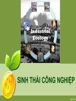 BÁO cáo THUYẾT TRÌNH môn học kỹ THUẬT SINH THÁI 