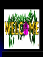 Unit 2 making arangements (1) 