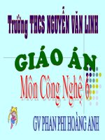 Bài 5  thực hành ôn một số mũi khâu cơ bản 