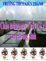 Bài 10  một số muối quan trọng hóa học 9 