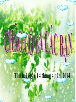 Bài giảng sinh học 9 thực hành vận dụng luật bảo vệ môi trường (5) 