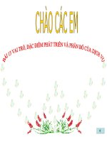 Bài 13 vai trò, đặc điểm phát triển và phân bố của dịch vụ địa lý 9 