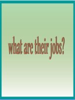 what are their jobs 