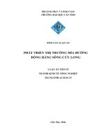 Phát triển thị trường mía đường Đồng bằng sông Cửu Long
