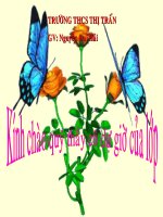 Bài 14  bạch cầu  miễn dịch 