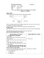 Kế hoạch bài dạy môn khoa học lớp 4 tuần 12 