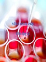 Bài Giảng Kĩ Thuật Nuôi Cấy Sơ Cấp Tế Bào Động Vật