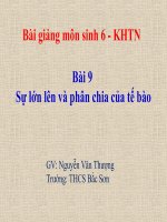 Bài giảng môn sinh 6 bài 9 sự lớn lên và phân chia của tế bào 