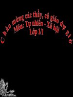 Bài 13  công việc ở nhà  