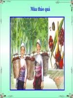 tập đọc lớp 5 tuần 2 mùa thảo quả 