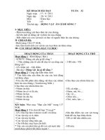 Kế hoạch bài dạy môn khoa học lớp 4 tuần 32 t63 