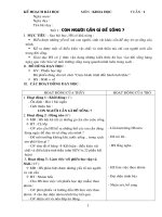 Giáo án môn khoa học lớp 4 cả năm 3 