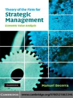 Theory of the firm for strategic management economic value analysis