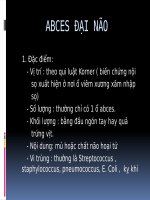 BÀI GIẢNG Biến chứng nội sọ do tai 2