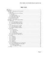 Đề tài Nghiên cứu chế độ dinh dưỡng cho người ăn chay