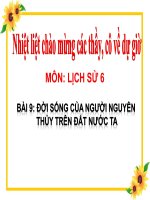 Bài 9  đời sống của người nguyên thuỷ trên đất nước ta 1 