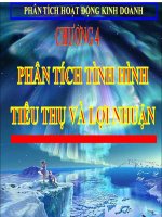 BÀI GIẢNG PHÂN TÍCH HOẠT ĐỘNG KINH DOANH chương 4 