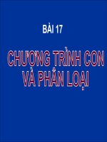 Bài 17  chương trình con và phân loại 