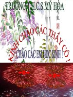 Bài 24  vùng bắc trung bộ (tiếp theo) 