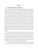 thực trạng và phát triển du lịch tâm linh tại đền Trần Thương  Lý Nhân Hà Nam