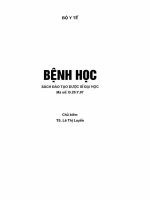 BỆNH HỌC, ĐÀO TẠO DƯỢC SĨ ĐẠI HỌC