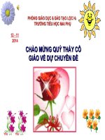 Chuyên Đề Một Số Vấn Đề Ngữ Âm Tiếng Việt Trong Chương Trình Tiếng Việt Lớp 1 CGD