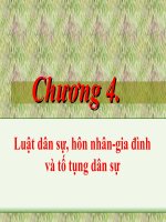 Bài giảng pháp luật đại cươngchương 4 luật dân sự, hôn nhân gia đình và tố tụng dân sự 