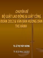 Chuyên Đề Bộ Luật Lao Động, Luật Công Đoàn 2012 Và Văn Bản Hướng Dẫn Thi Hành