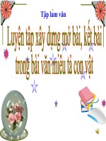 Tuần 32  luyện tập xây dựng mở bài, kết bài trong bài văn miêu tả con vật   tập làm văn 4 