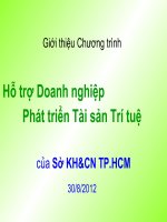 Bài Giảng Hỗ Trợ Doanh Nghiệp Phát Triển Tài Sản Trí Tuệ