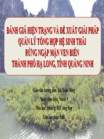 ĐÁNH GIÁ HIỆN TRẠNG VÀ ĐỀ XUẤT GIẢI PHÁP QUẢN LÝ TỔNG HỢP HỆ SINH THÁI RỪNG NGẬP MẶN VEN BIỂN THÀNH PHỐ HẠ LONG, TỈNH QUẢNG NINH