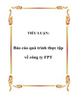Báo cáo Quá trình thực tập về công ty FPT