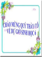 Bài 16  thân to ra do đâu 