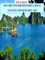 Bài 38  phát triển tổng hợp kinh tế và bảo vệ tài nguyên, môi trường biển   đảo 