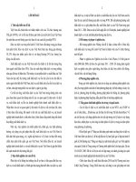 Thúc đẩy xuất khẩu dịch vụ của Việt Nam khi là thành viên của Tổ chức Thương mại Thế giới (WTO) (tt)