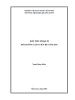 BÀI THU HOẠCH bồi DƯỠNG GIÁO VIÊN trường tiểu học trung học cơ sở và trung học phổ thông hè năm 2016 