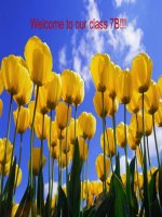 Tiếng anh 7   lê thị bích vân 