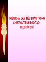 Triển Khai Làm Tiểu Luận Trong Chương Trình Đào Tạo Theo Tín Chỉ