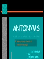 synonyms and antonyms 