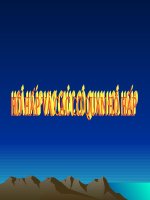 Bài 20  hô hấp và các cơ quan hô hấp 