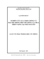 Nghiên cứu lựa chọn giống và mật độ trồng đối với giống cà chua có triển vọng tại thái nguyên 