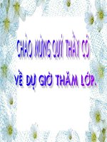 Tuần 9  phát biểu theo chủ đề 