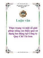 Luận văn Thực trạng và một số giải pháp nâng cao hiệu quả sử dụng lao động tại Công ty Quy Chế Từ Sơn